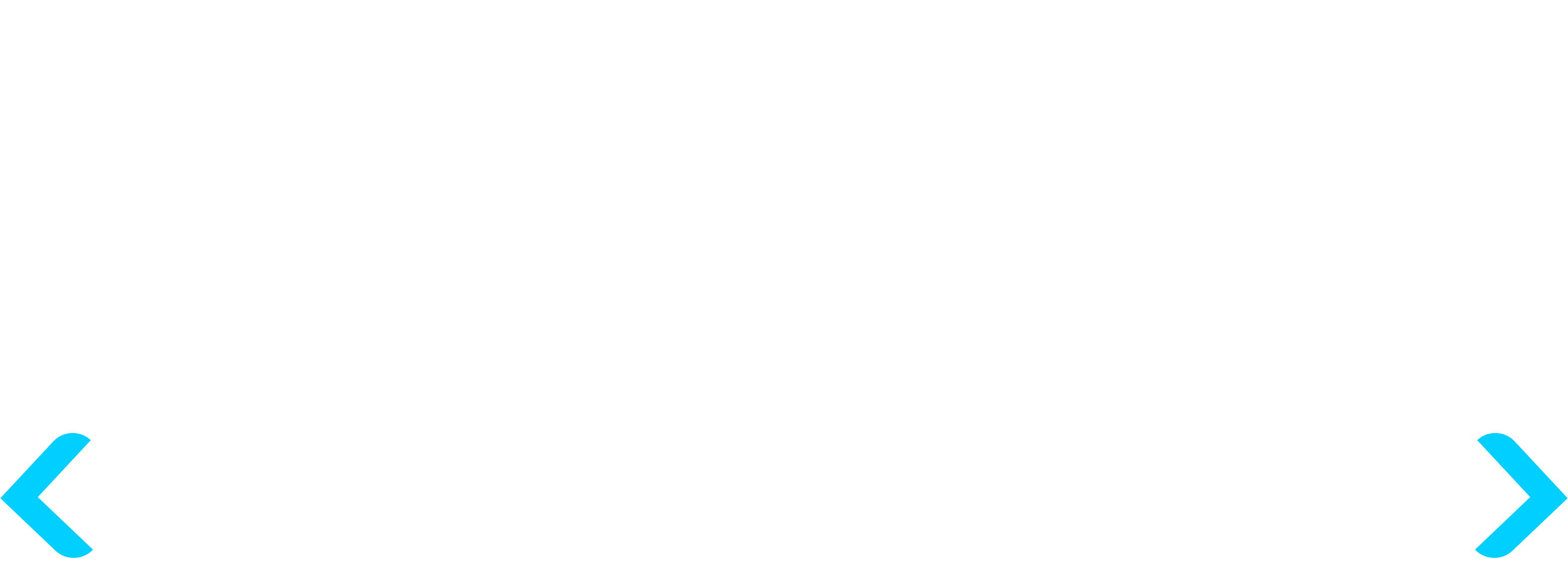 Selin-Logo